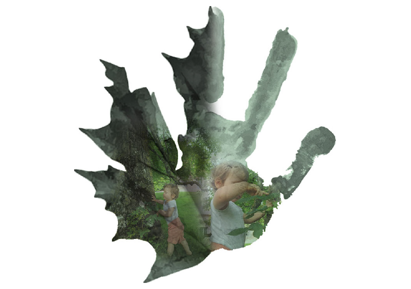 Memoire de recherche : La cour d'ecole comme lieu d'experience de nature ? - Image 1